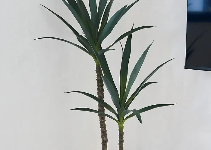 La Casa De Sandalio בית נופש El Pris